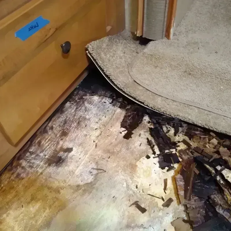 Wood Floor Water Damage in Rio Grande County, CO